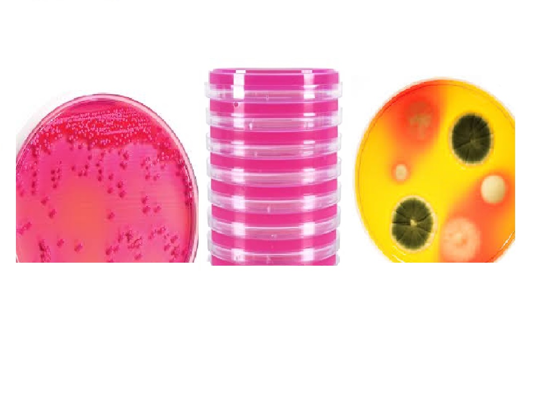 Dichloran Rose Bengal  Chloramphenicol Agar (DRBC Agar). Placa 90x15mm. 